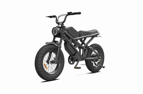 20 düymlük elektrikli qatlanan velosiped istehsalçısı