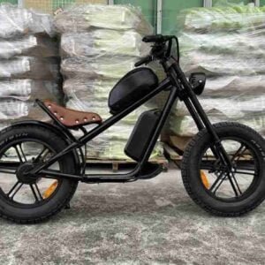 Böyüklər üçün 4 təkərli elektrikli velosiped istehsalçısı