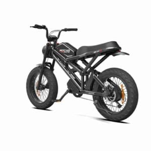 4 təkərli elektrikli velosiped istehsalçısı