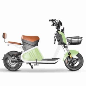 4000w Citycoco istehsalçısı