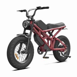 48v Dirt Bike istehsalçısı