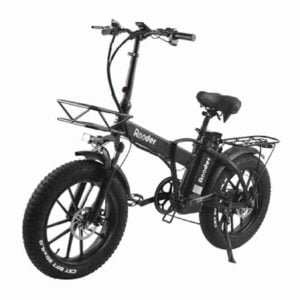 48v Fat Tire Elektrikli Velosiped istehsalçısı