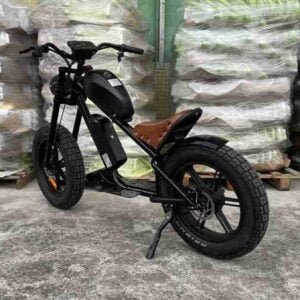 48v elektrik velosiped istehsalçısı