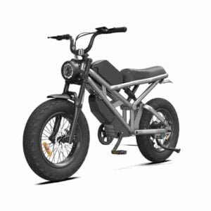 sərfəli elektron velosiped istehsalçısı