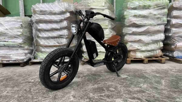 sərfəli elektrik velosiped istehsalçısı