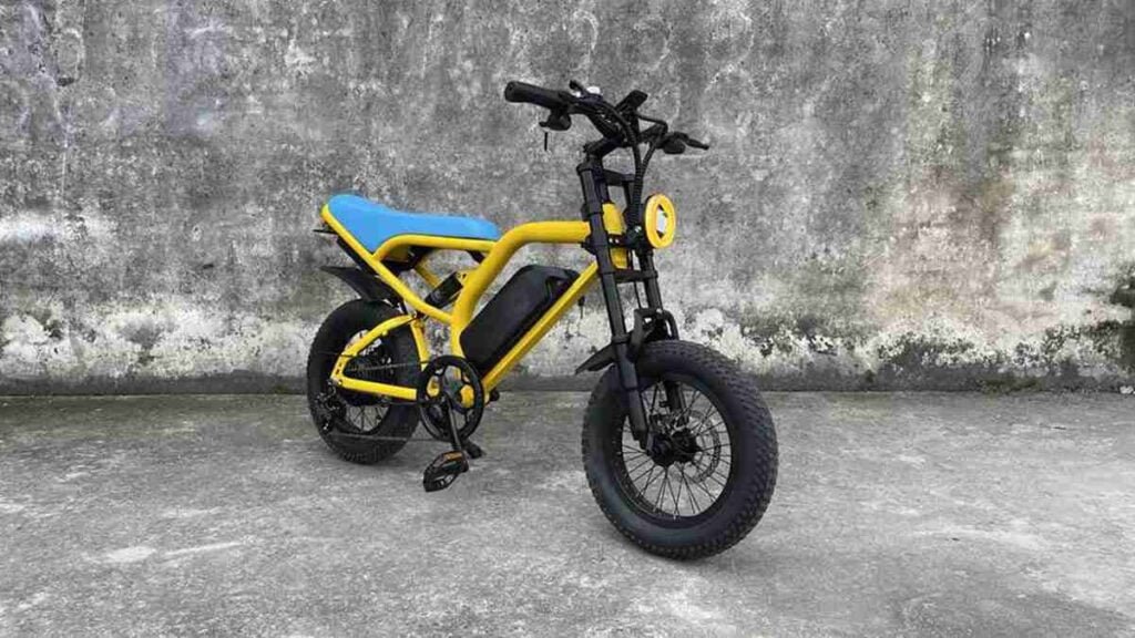 bütün ərazi elektrik velosiped istehsalçısı