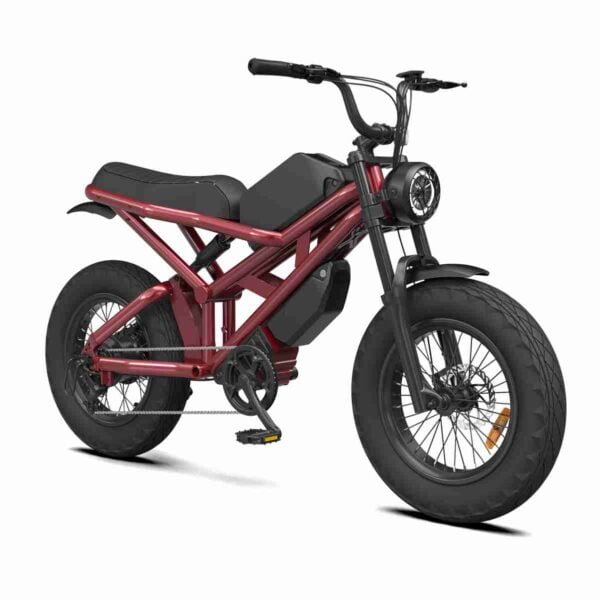 Bütün Terrain Fat Tire Bikes istehsalçısı