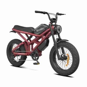 All Terrain Fat Tire Elektrikli Velosiped istehsalçısı