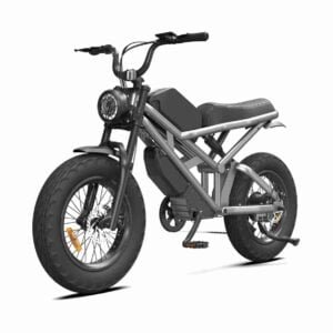 Ən yaxşı E Bike Fat Tire istehsalçısı