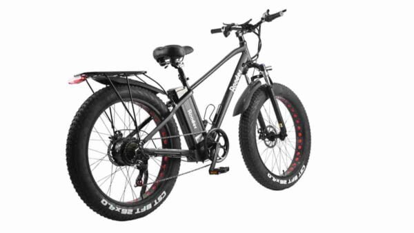 Ən yaxşı Ebike Fat Tire istehsalçısı