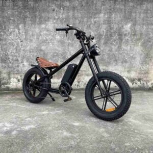 Ən yaxşı qiymətə qatlanan elektrikli velosiped istehsalçısı