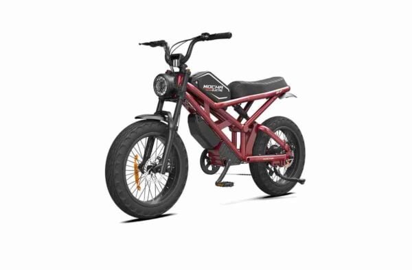 Büdcə Elektrikli Velosiped istehsalçısı