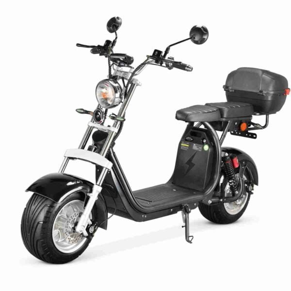 Chopper Citycoco 3000w istehsalçısı