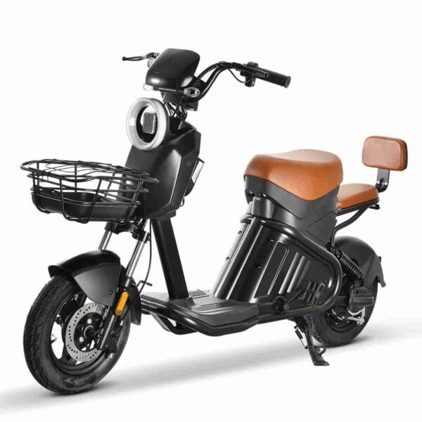 Citycoco 1000w istehsalçısı
