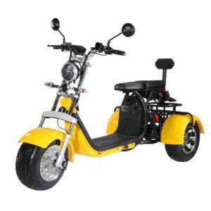 Citycoco Chopper 2000w istehsalçısı