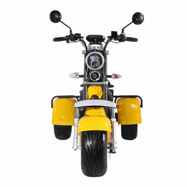 Citycoco Electric Chopper istehsalçısı