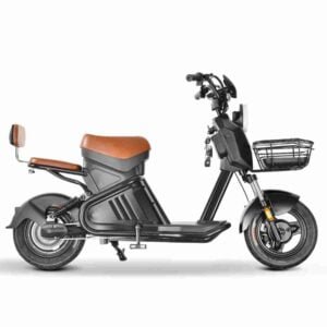Citycoco M1 istehsalçısı