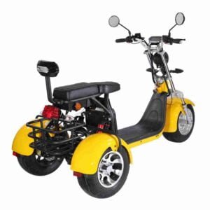 Citycoco S1 Sport 2000w istehsalçısı