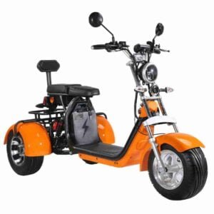 Citycoco Scooter 3000w istehsalçısı