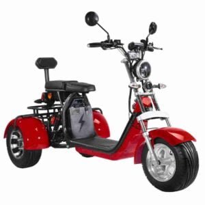 Citycoco Scooter Electrico istehsalçısı