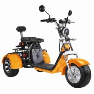 Citycoco Skuter istehsalçısı