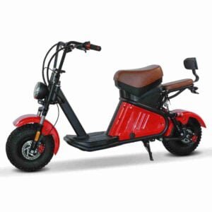 Citycoco Tricycle 3 Təkərli Elektrikli Skuter istehsalçısı