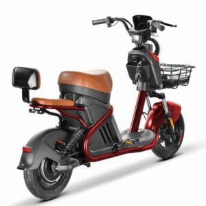 Citycoco Trike 3000w istehsalçısı