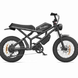 Xüsusi Ebike istehsalçısı