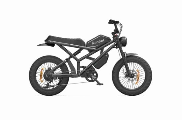 Xüsusi Ebike istehsalçısı