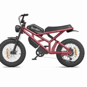 xüsusi ebike istehsalçısı