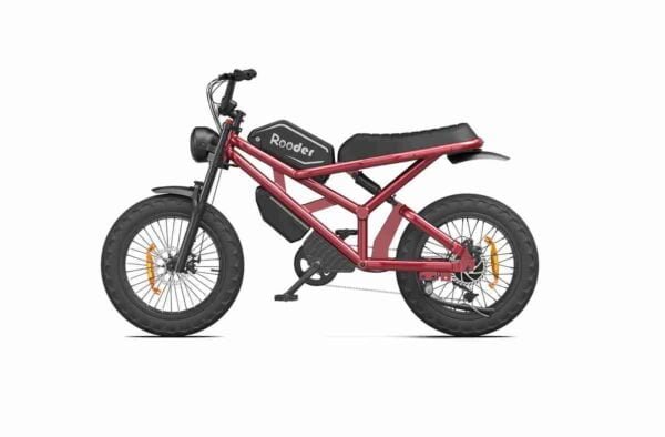 xüsusi ebike istehsalçısı