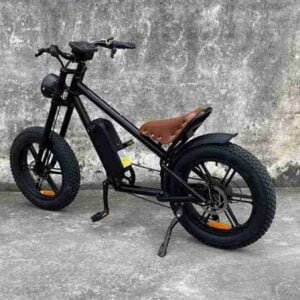 Dirt Bike Ebike istehsalçısı