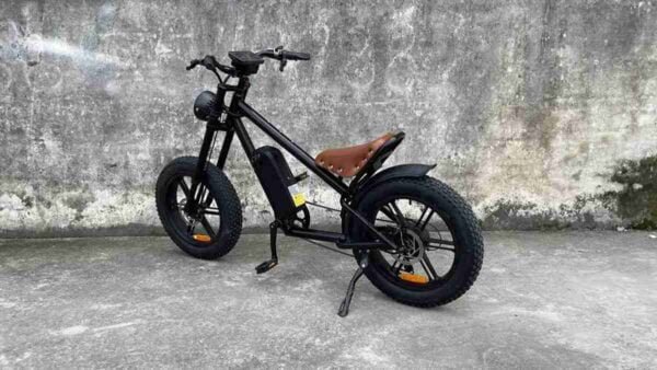 Dirt Bike Ebike istehsalçısı