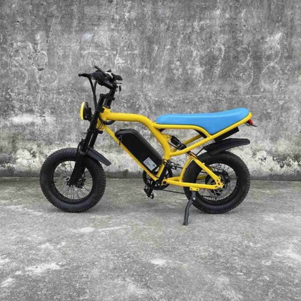 Dirt Bike Style Ebike istehsalçısı