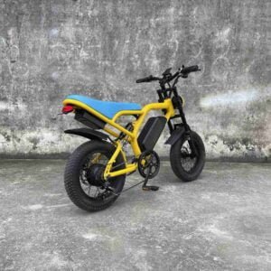 E Bike Cycle Qiymət istehsalçısı