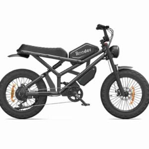 Qadınlar üçün E Bikes istehsalçısı