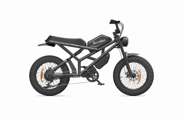 Qadınlar üçün E Bikes istehsalçısı