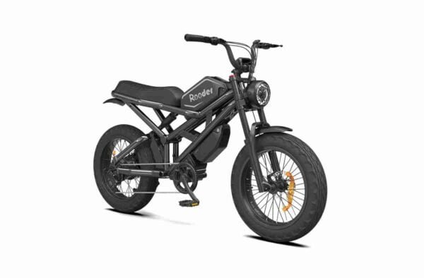 E Cycle Elektrikli Qatlanan Velosiped istehsalçısı