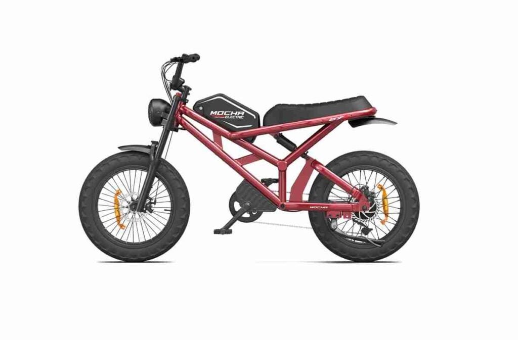 E Fatbike istehsalçısı