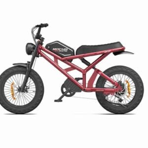 E Fatbike istehsalçısı