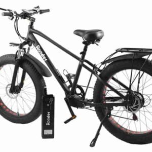 Ebike Dizayn istehsalçısı