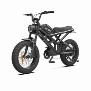 Ebike Fat Velosiped istehsalçısı