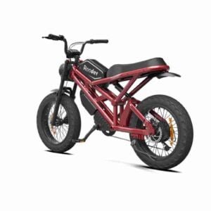 Ebike Fat Tire istehsalçısı