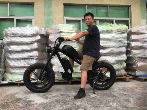 Ebikes istehsalçısı