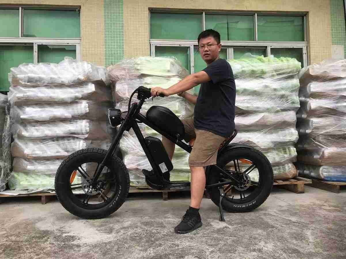 Ebikes istehsalçısı Ebikes istehsalçısı