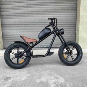 Electr Bike Adult istehsalçısı