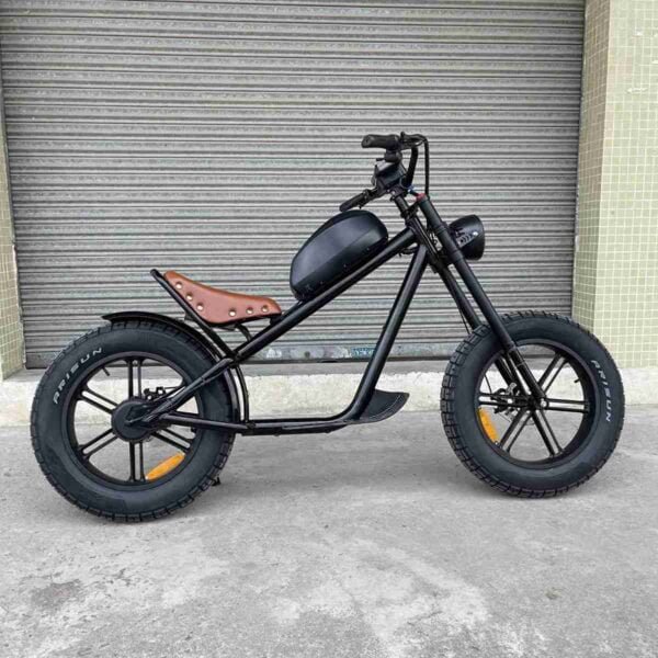 Electr Bike Adult istehsalçısı