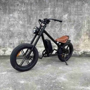 Elektrikli Böyük Dirt Velosiped istehsalçısı