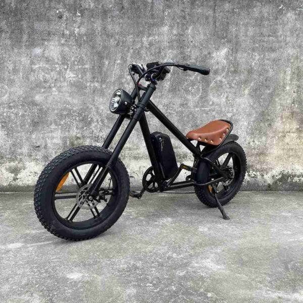 Elektrikli Böyük Dirt Velosiped istehsalçısı