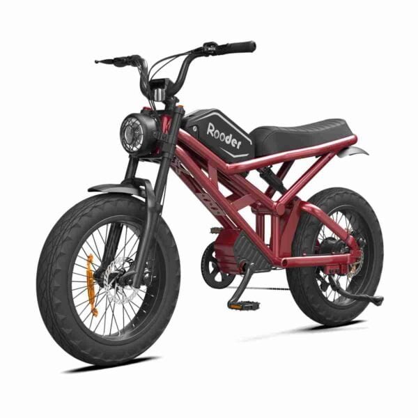 Elektrikli velosiped Fransa istehsalçısı